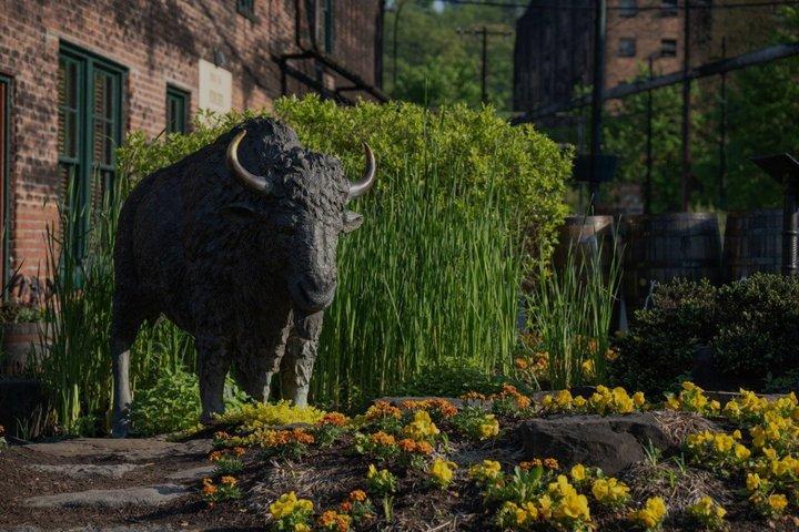 Buffalo Trace Distillery Tour, Tasting, and Transportation