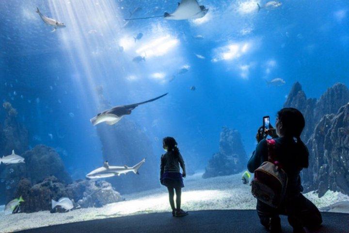 Entrance to Oceanary and cable car