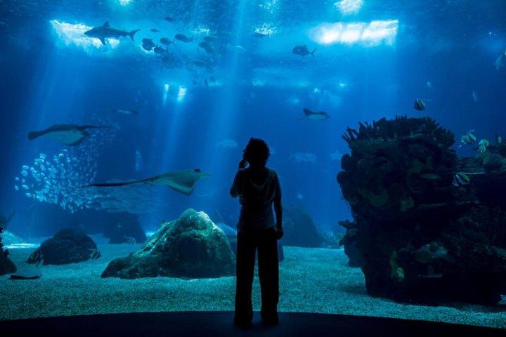 Entrance to Oceanary and cable car