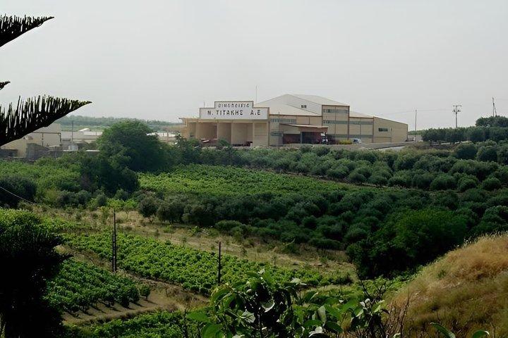 Escursione a terra a Katakolo Due cantine boutique con degustazione di vini