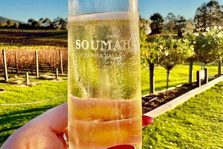 Yarra Valley Halfdaagse wijnmakerijtour vanuit Melbourne met kleine groep