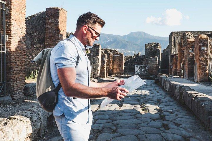 Excursión combinada de un día completo al Vesubio y las ruinas de Pompeya desde Nápoles