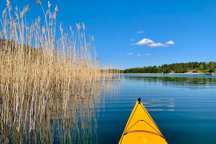 Tour en kayak por el archipiélago de Estocolmo con almuerzo