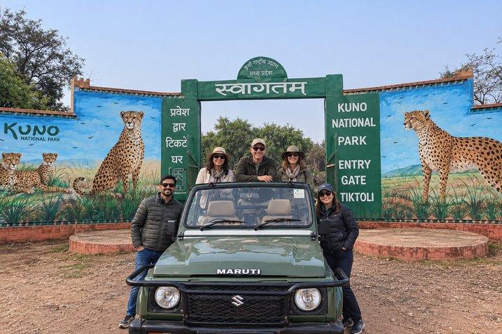 3 Day Ranthambore & Kuno Safari Tour from Jaipur/Ranthambore
