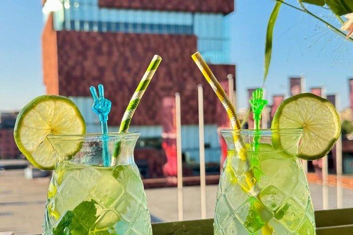 Antwerp Public Cocktail Cruise