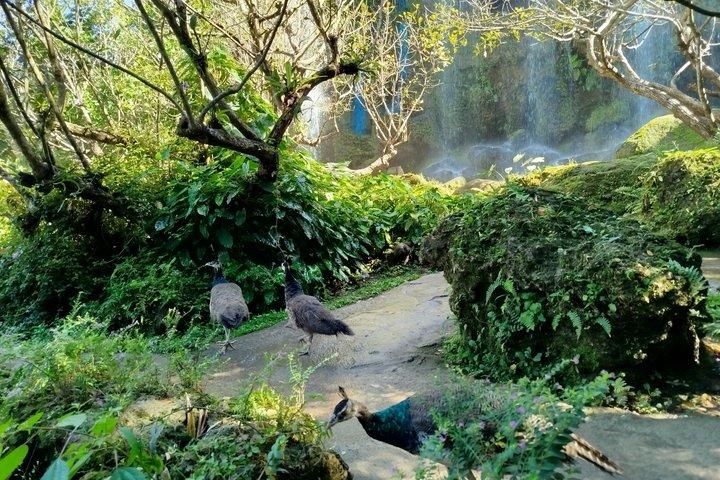 Visite Dantewada (Terra dos Anjos), Wat Ban Den, Sticky Waterfall