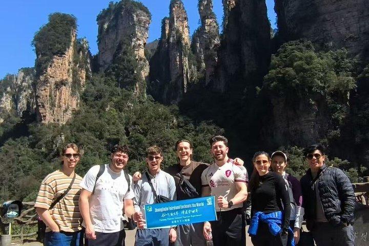 Excursión en grupo de 1 día a Avatar Mountain & Fores Park con acceso VIP