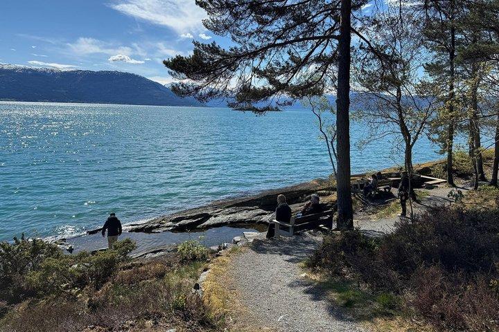 Bergen : Hardangerfjord pittoresque avec cascades et déjeuner dans un jardin
