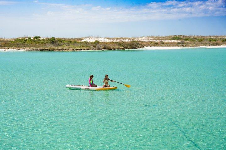 Shell Island Snorkel and Dolphin Catamaran Cruise with Island Time
