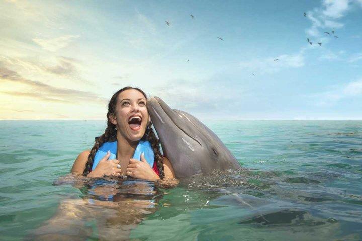 Jamaica : Excursión de un día a nado con delfines