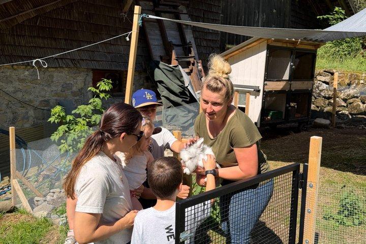 Interlaken Farm Tour Colazione svizzera e produzione di formaggi
