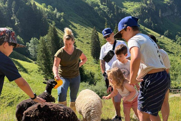 Interlaken Farm Tour Colazione svizzera e produzione di formaggi