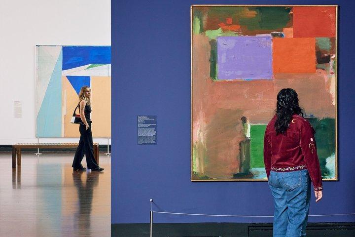 Galería de Arte de SA Exposición : Monet to Matisse : Defying Tradition