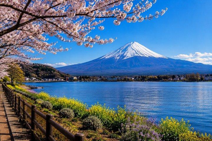 Privat tur till Fuji och Hakone - En personlig upplevelse