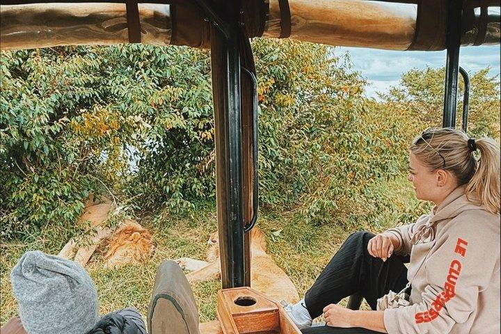 Parc national de Nairobi d'une demi-journée et marché Maasai avec prise en charge