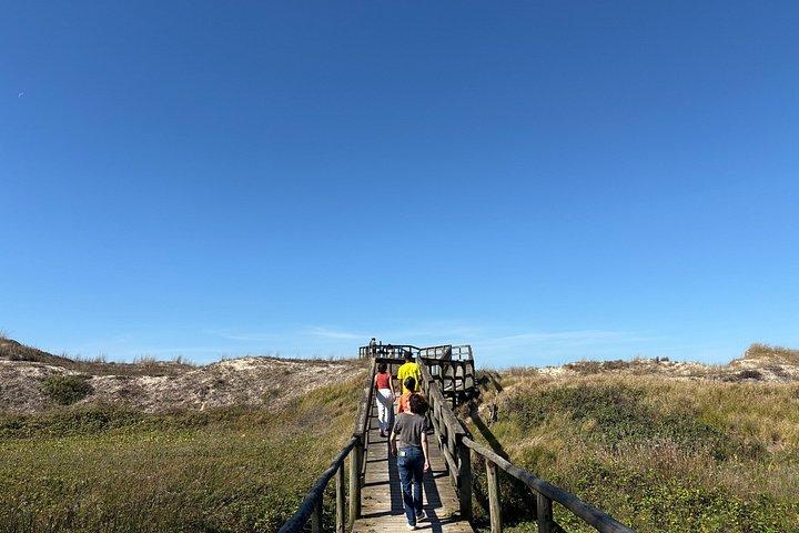 Visite guidée d'observation et d'histoire des baleines au départ de Florianopolis
