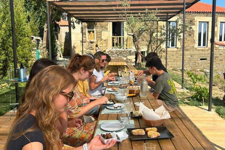 From Porto: Winery Brunch at The Douro Valley + scenic Cruise