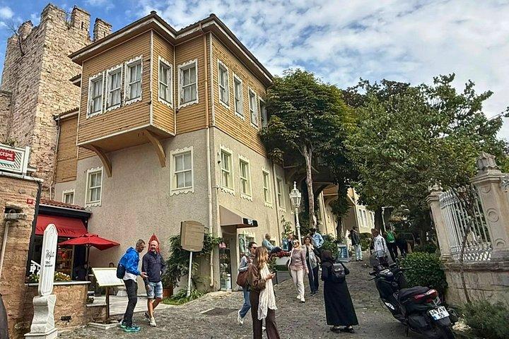 Istanbul's Cats: A Self-Guided Walking Tour