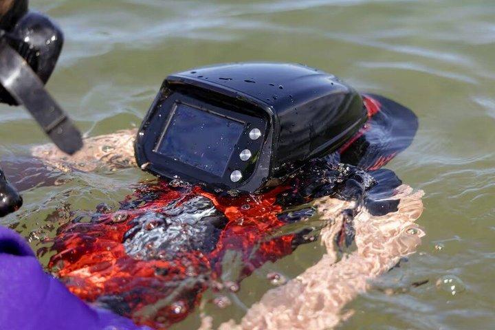Turtle Town Onderwater Scooter snorkeltour met foto's + video