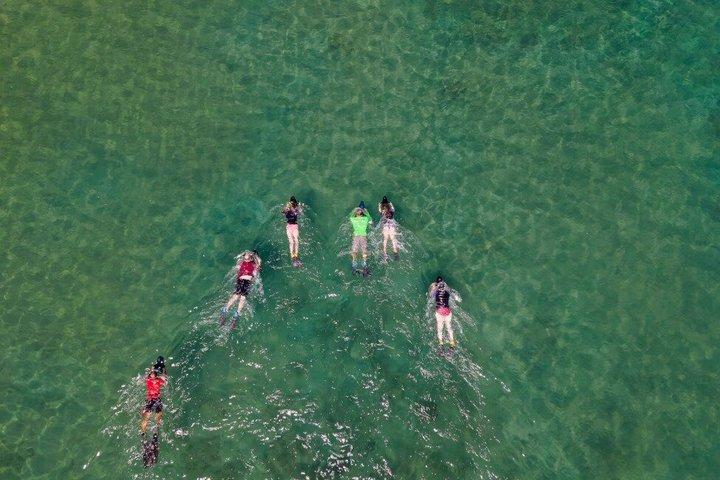 Turtle Town Onderwater Scooter snorkeltour met foto's + video