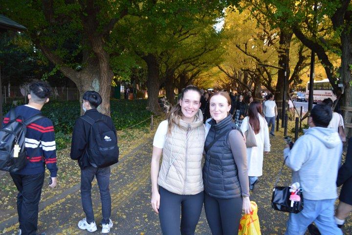 東京ゴールデンイチョウ通り紅葉散歩