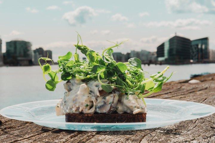 Kopenhagen Private Tour : Smørrebrød, Fahrräder & die Entstehung einer Stadt