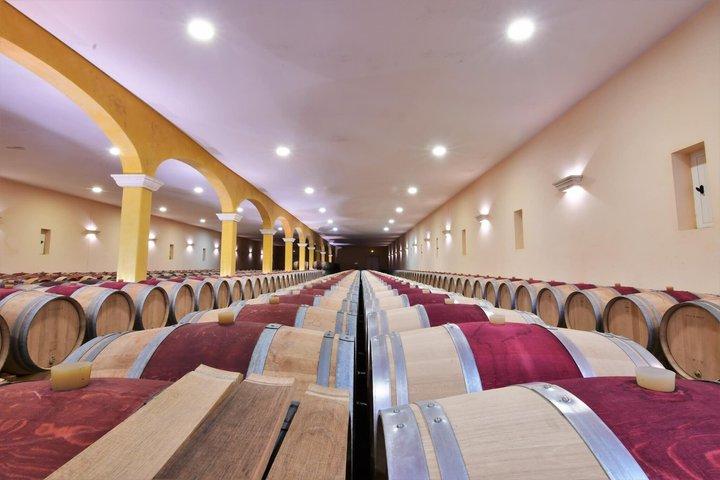Saint-Emilion E-Bike Wine Tour | Wine & vines & Gourmet Picnic