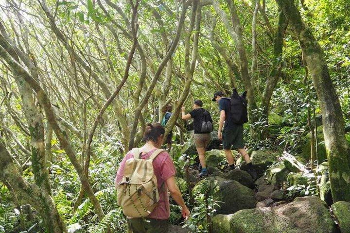 Paradise Valley Excursion from Agadir & Taghazout with Breakfast