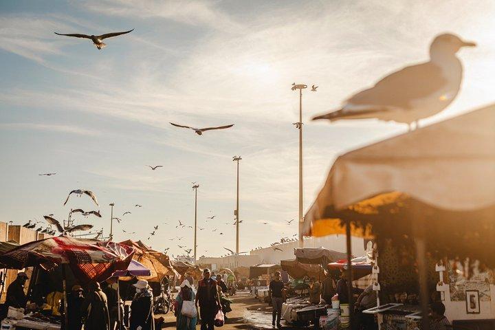 Spice Shores Essaouira Food Tour mit 15 + Verkostungen