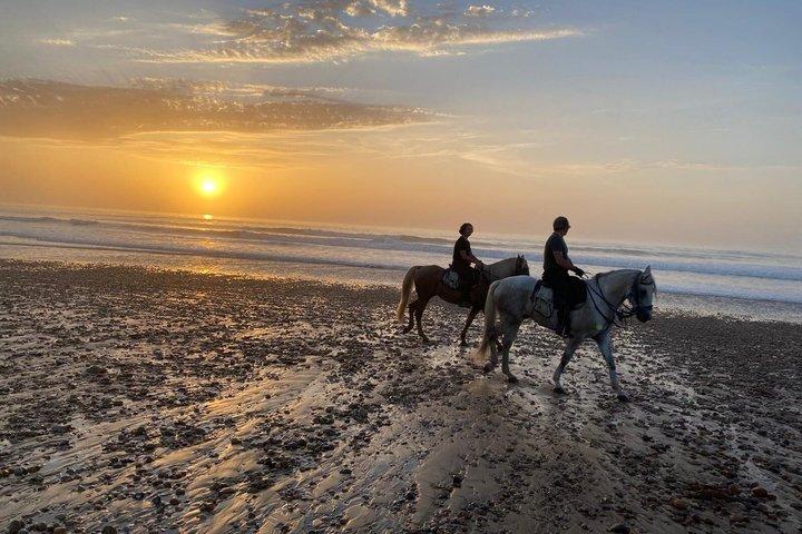 2 - Hour Beach & Dunes Horse Ride in Essaouira (dia ou pôr do sol)