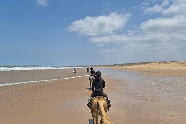 2 - Hour Beach & Dunes Horse Ride in Essaouira (dia ou pôr do sol)
