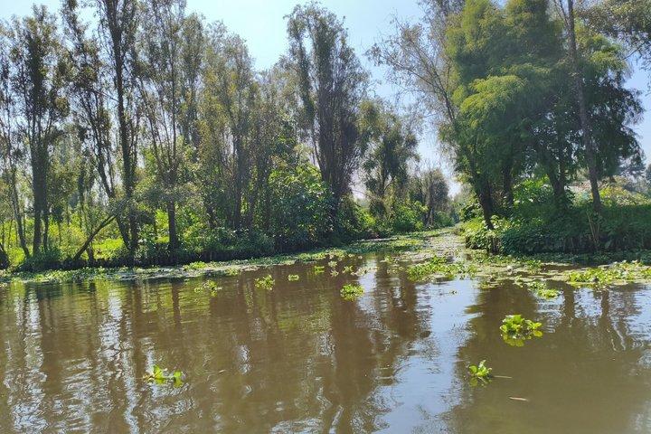 Xochimilco Island of the Dolls Original and Coyoacan