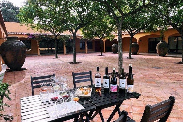 From Lisbon: Arrábida & Sesimbra Private Day Trip – Wine & Nature