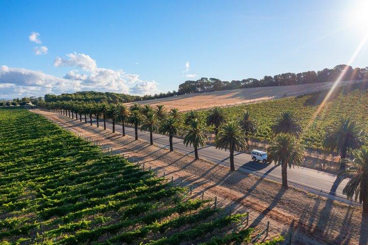 Barossa Wine Tour - Max 6 persone incl Menu dello Chef Pranzo con vino