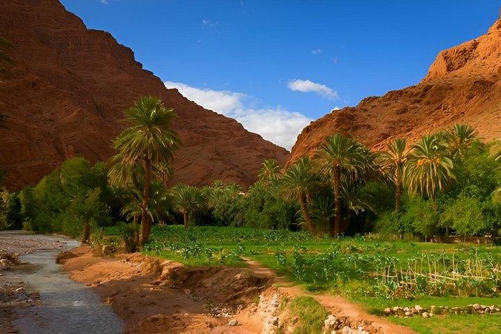 Oasis of Fint Halvdagstur fra Ouarzazate