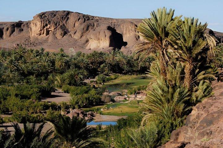 Oasis of Fint Halvdagstur fra Ouarzazate