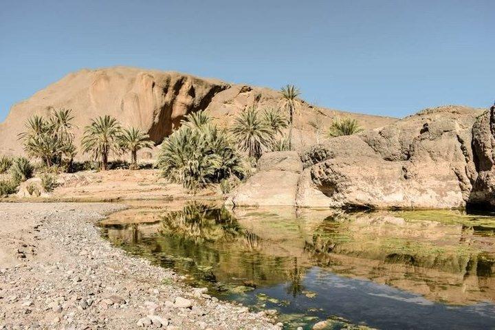 Oasis of Fint Halvdagstur fra Ouarzazate