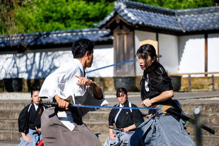 Samurai Art of "TATE" Experience : Schritt in die filmische Welt