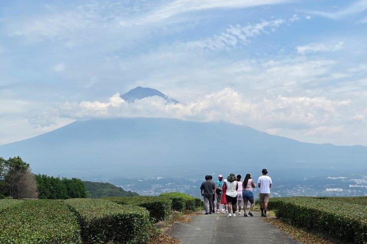 Courte visite pour voir le mont Fuji de divers angles depuis le port de Shimizu