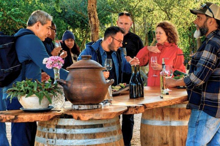 4 Exclusive & boutique wineries in Casablanca - Tanino Restaurant