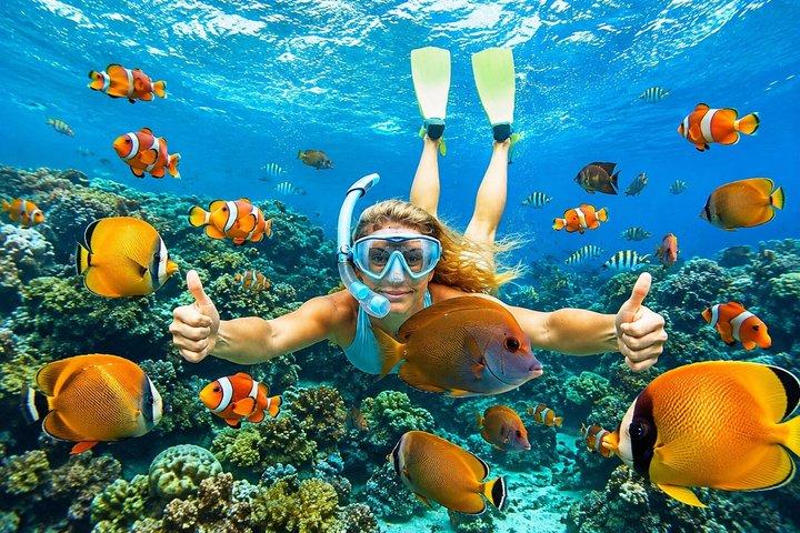 All Inclusive: Schnorcheln in der Blauen Lagune von Bali, Mittagessen und Transport