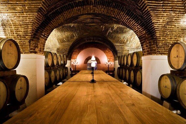 Private Wine Tour Alentejo