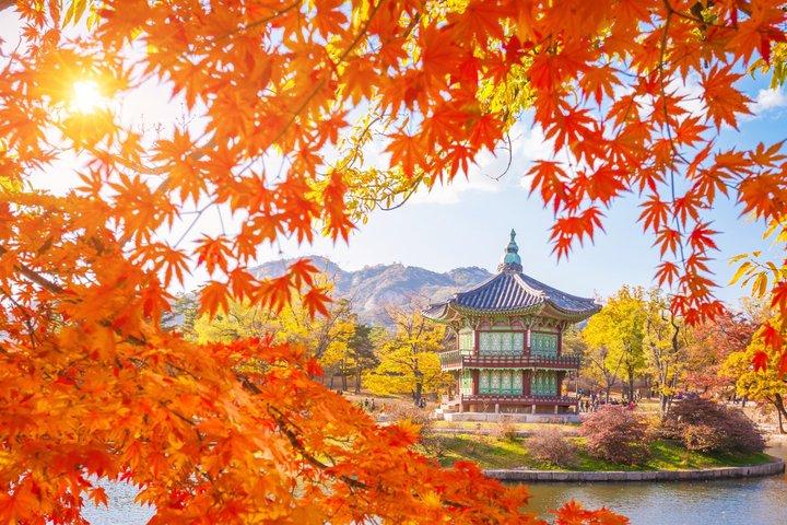 Flexible Layover Private Führung in Seoul (Abholung Incheon)