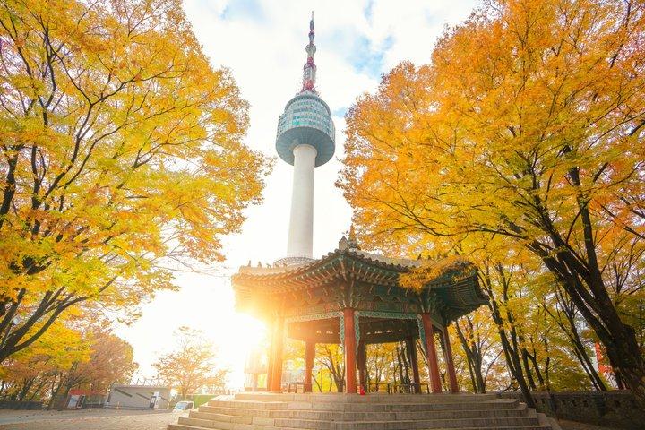 Flexible Layover Private Führung in Seoul (Abholung Incheon)