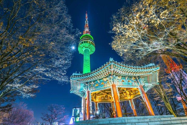 Night Flexible Private Guided Tour In Seoul(Optional layover)