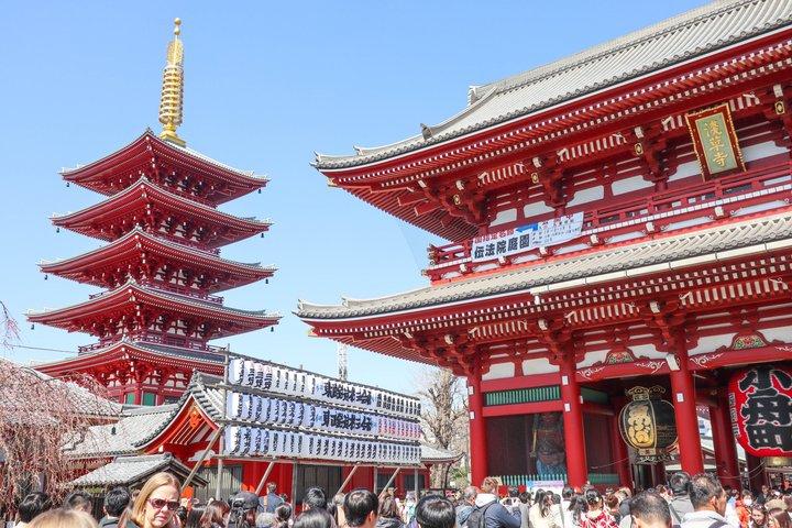 Tokyo’s Must-Sees: 5-hour Tsukiji, Akihabara & Asakusa Tour