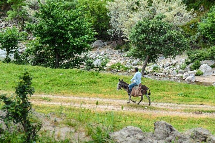 Seven Lakes Tadjikistan : Excursion d'une journée tout compris