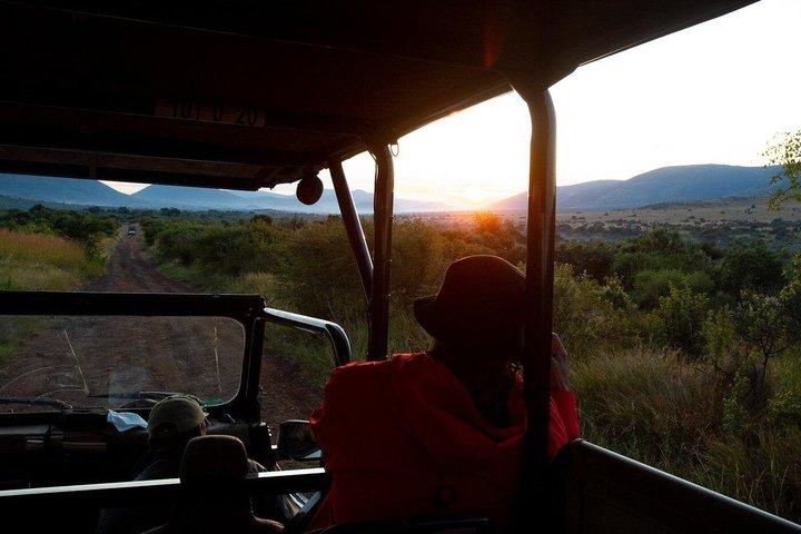 Half Day Sunset Tshukudu Safari Tour