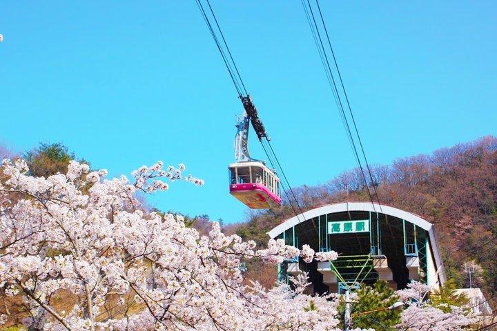 Fukuoka : Dagtour naar Yufuin, Beppu Ropeway, Dazaifu & Kamado Jigoku