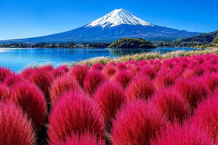 Fuji, Chureito-pagoden och Kawaguchikosjön Dagstur från Tokyo